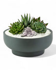 Granite Crystal Succulent Garden - Green Fresh Florals + Plants