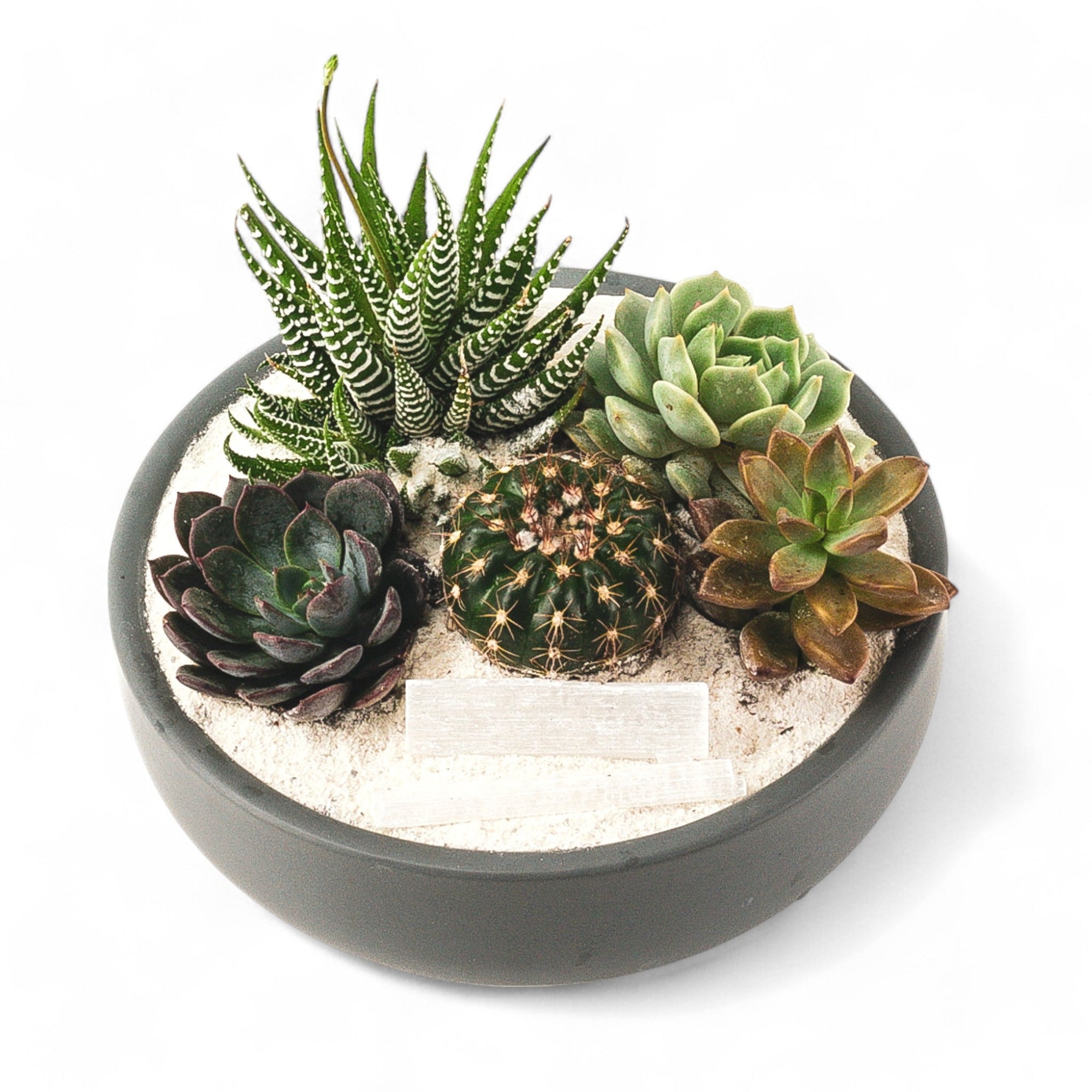 Granite Crystal Succulent Garden - Green Fresh Florals + Plants