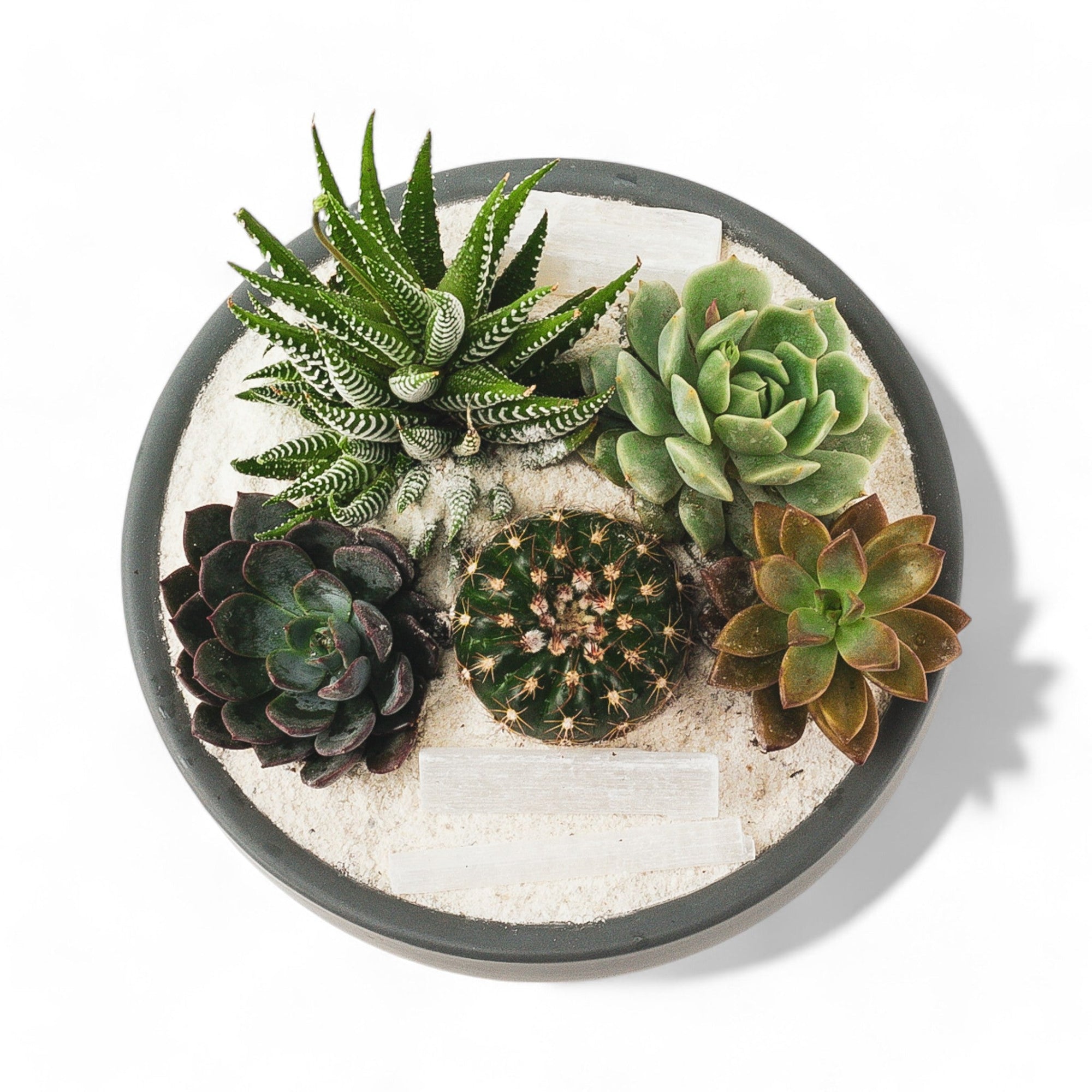 Granite Crystal Succulent Garden - Green Fresh Florals + Plants