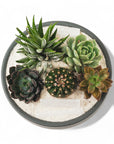 Granite Crystal Succulent Garden - Green Fresh Florals + Plants