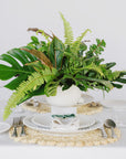 Green Monochrome A la Carte Centerpiece - Green Fresh Florals + Plants