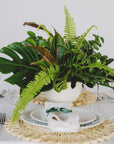 Green Monochrome A la Carte Centerpiece - Green Fresh Florals + Plants