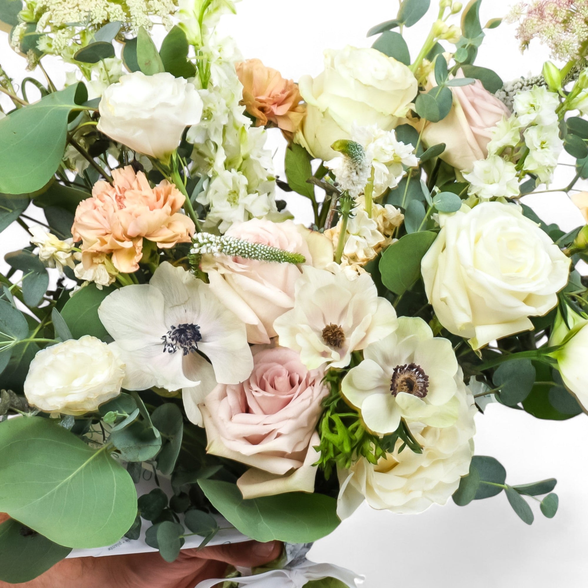 Hand - Tied Fresh Flower Bouquet - Green Fresh Florals + Plants