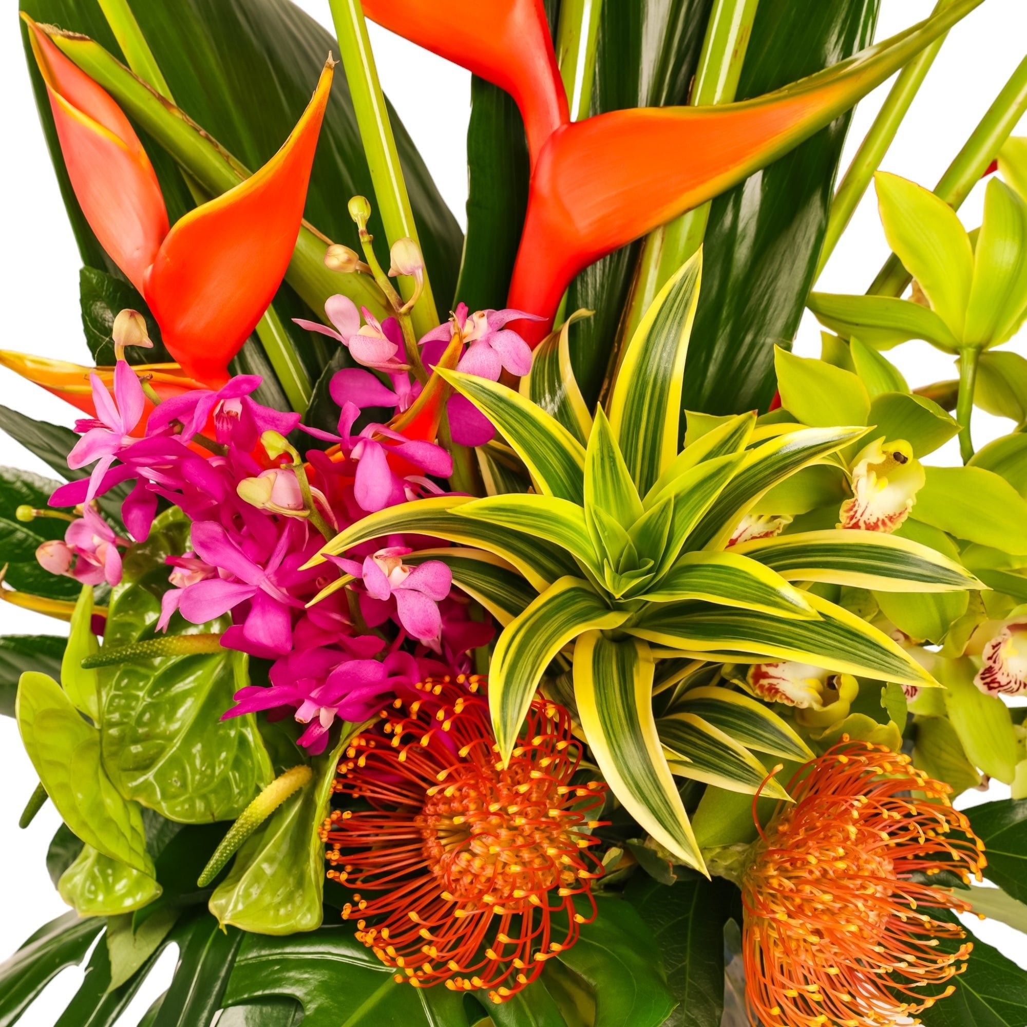 Hilo Beauty Designer Floral - Green Fresh Florals + Plants