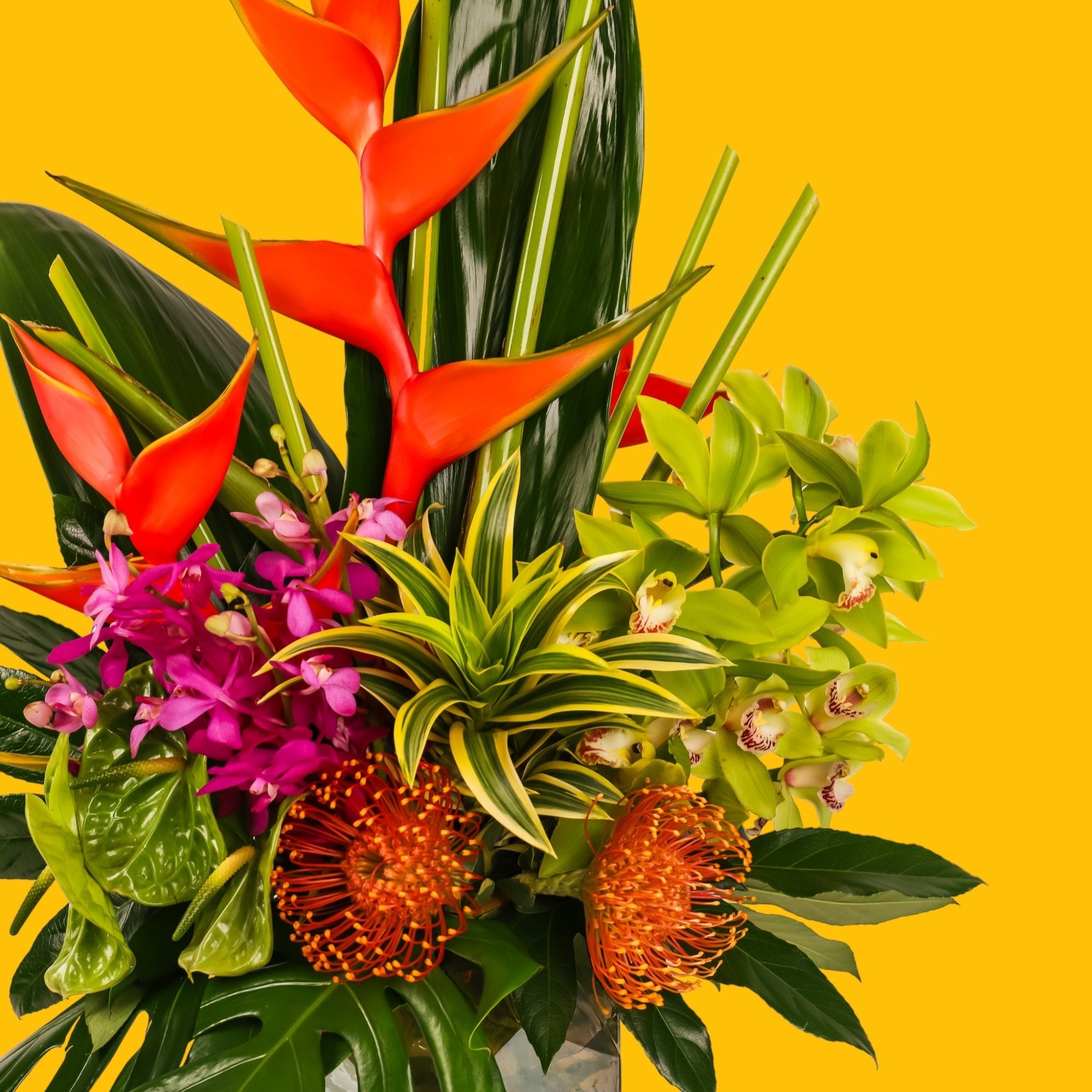 Hilo Beauty Designer Floral - Green Fresh Florals + Plants