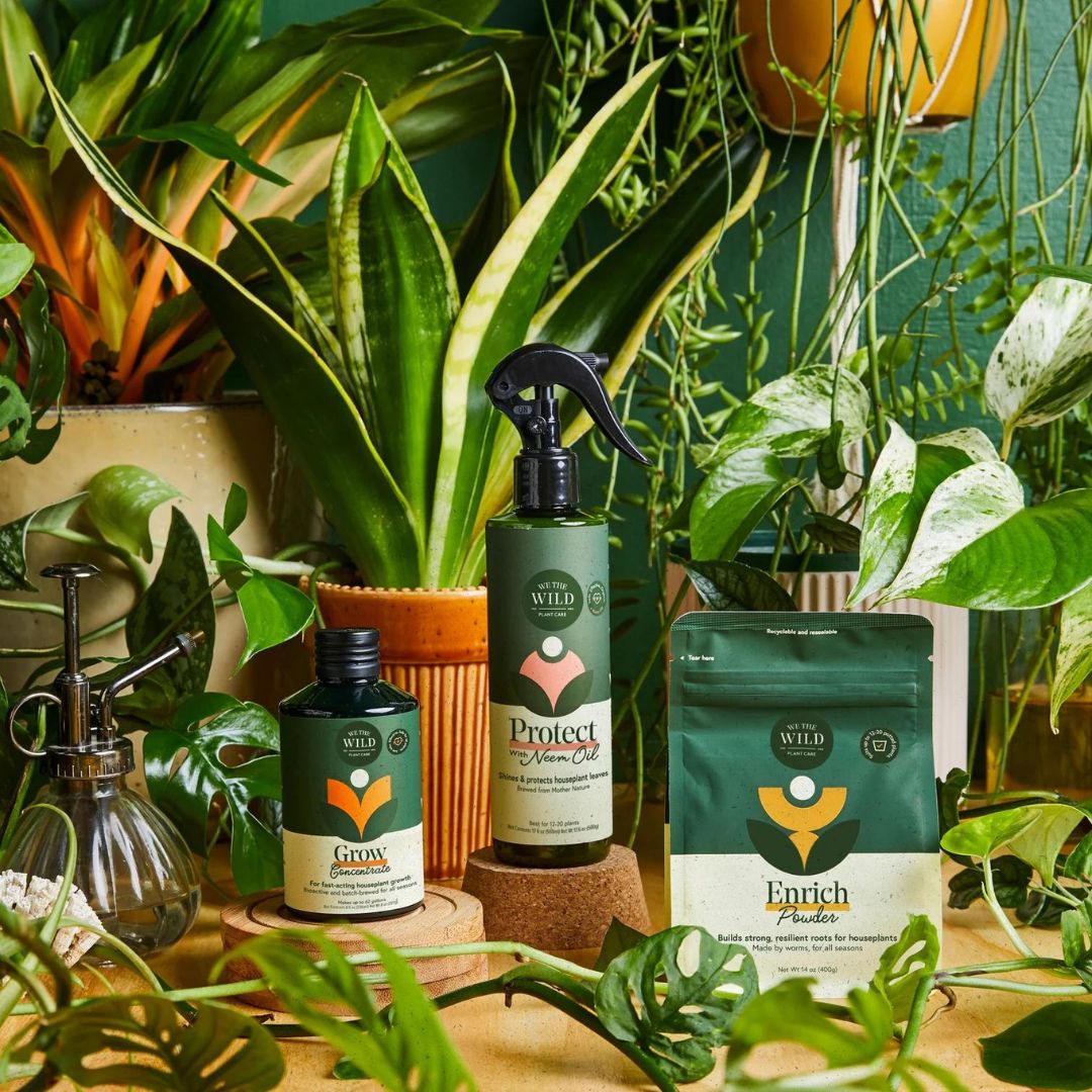 Houseplant Care Taster Kit - Green Fresh Florals + Plants