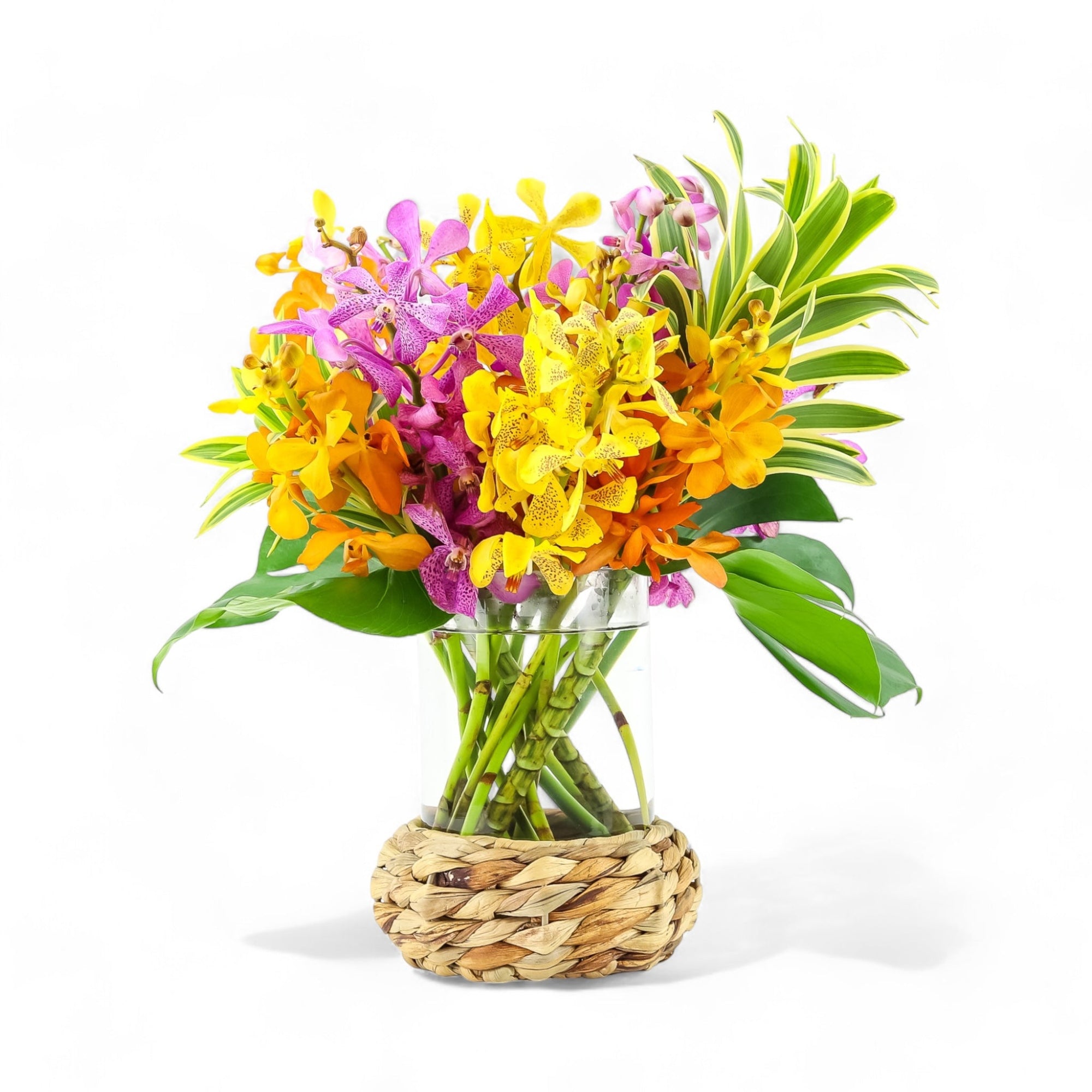 Island Orchid Floral - Green Fresh Florals + Plants