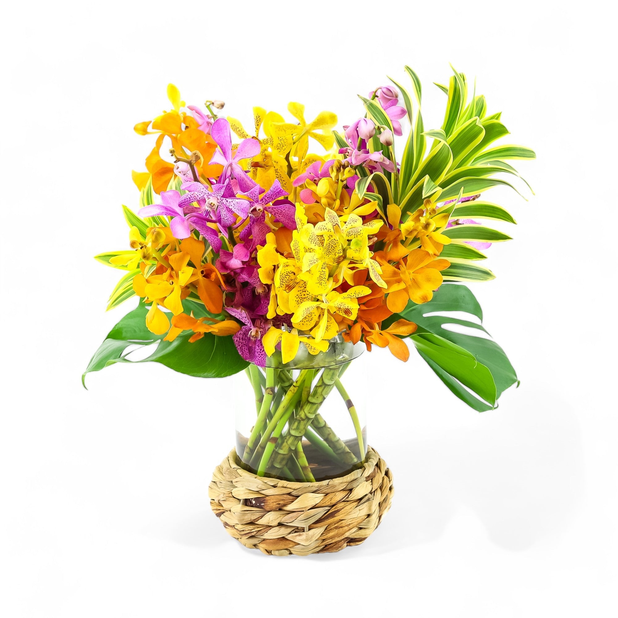 Island Orchid Floral - Green Fresh Florals + Plants