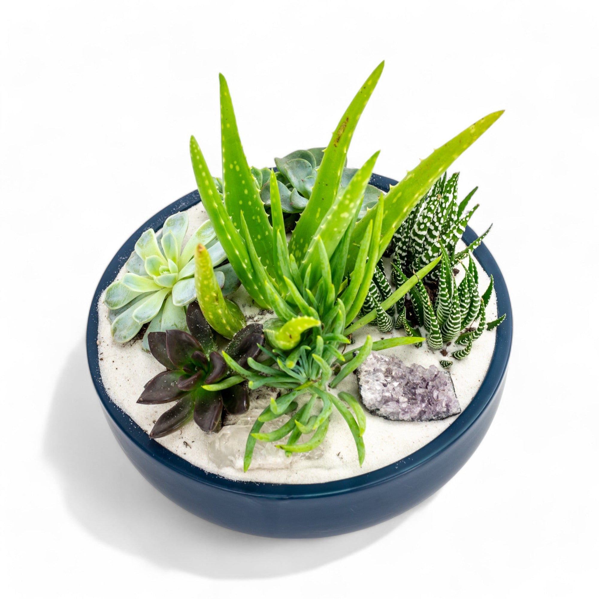 Midnight Blue Crystal Succulent Garden - Green Fresh Florals + Plants