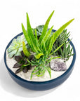 Midnight Blue Crystal Succulent Garden - Green Fresh Florals + Plants