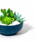 Midnight Blue Crystal Succulent Garden - Green Fresh Florals + Plants