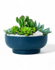 Midnight Blue Crystal Succulent Garden - Green Fresh Florals + Plants