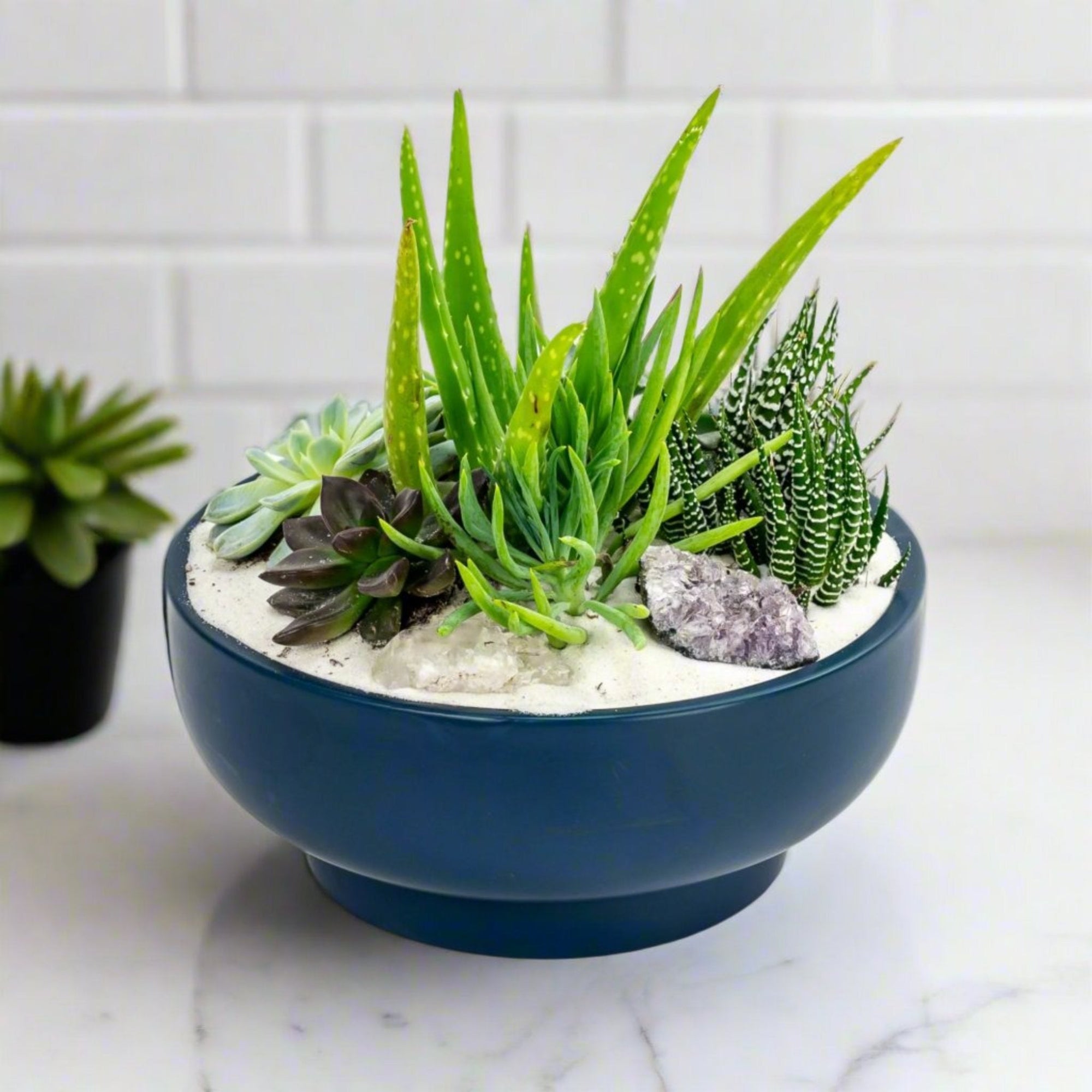 Midnight Blue Crystal Succulent Garden - Green Fresh Florals + Plants