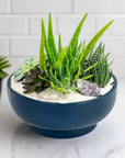 Midnight Blue Crystal Succulent Garden - Green Fresh Florals + Plants