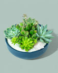 Midnight Blue Crystal Succulent Garden - Green Fresh Florals + Plants