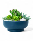 Midnight Blue Crystal Succulent Garden - Green Fresh Florals + Plants