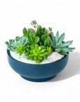 Midnight Blue Crystal Succulent Garden - Green Fresh Florals + Plants