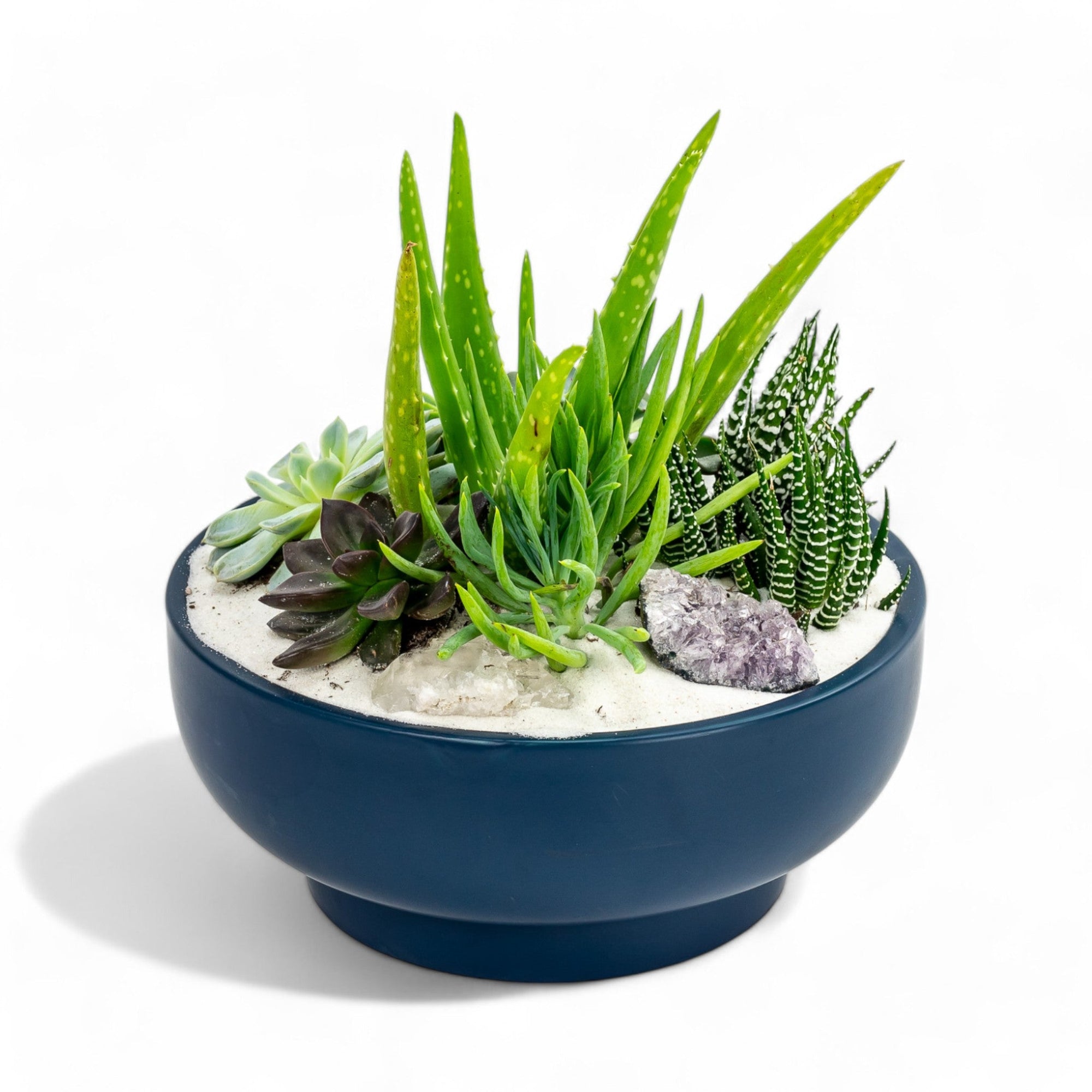 9" Midnight Blue Crystal Succulent Garden - Green Fresh Florals + Plants