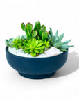 Midnight Blue Crystal Succulent Garden - Green Fresh Florals + Plants