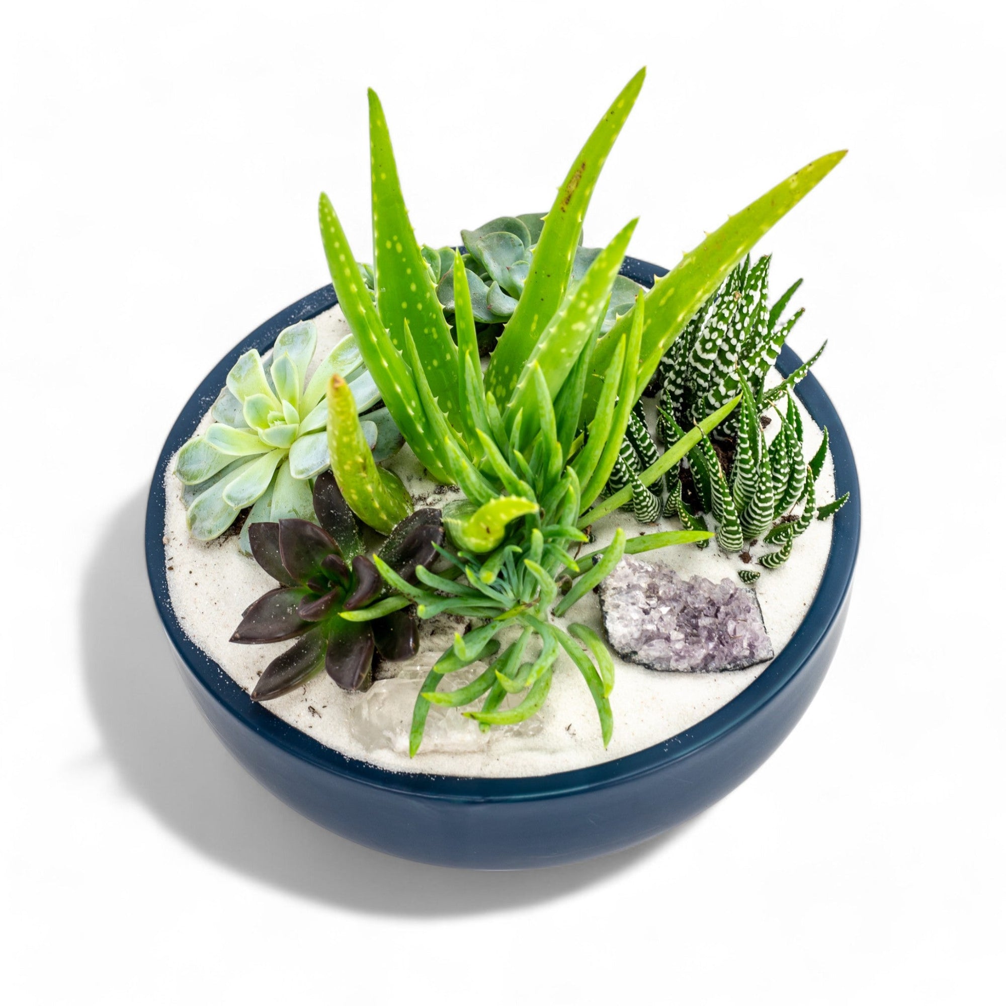 Midnight Blue Crystal Succulent Garden - Green Fresh Florals + Plants