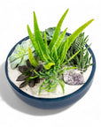 Midnight Blue Crystal Succulent Garden - Green Fresh Florals + Plants