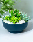 Midnight Blue Crystal Succulent Garden - Green Fresh Florals + Plants