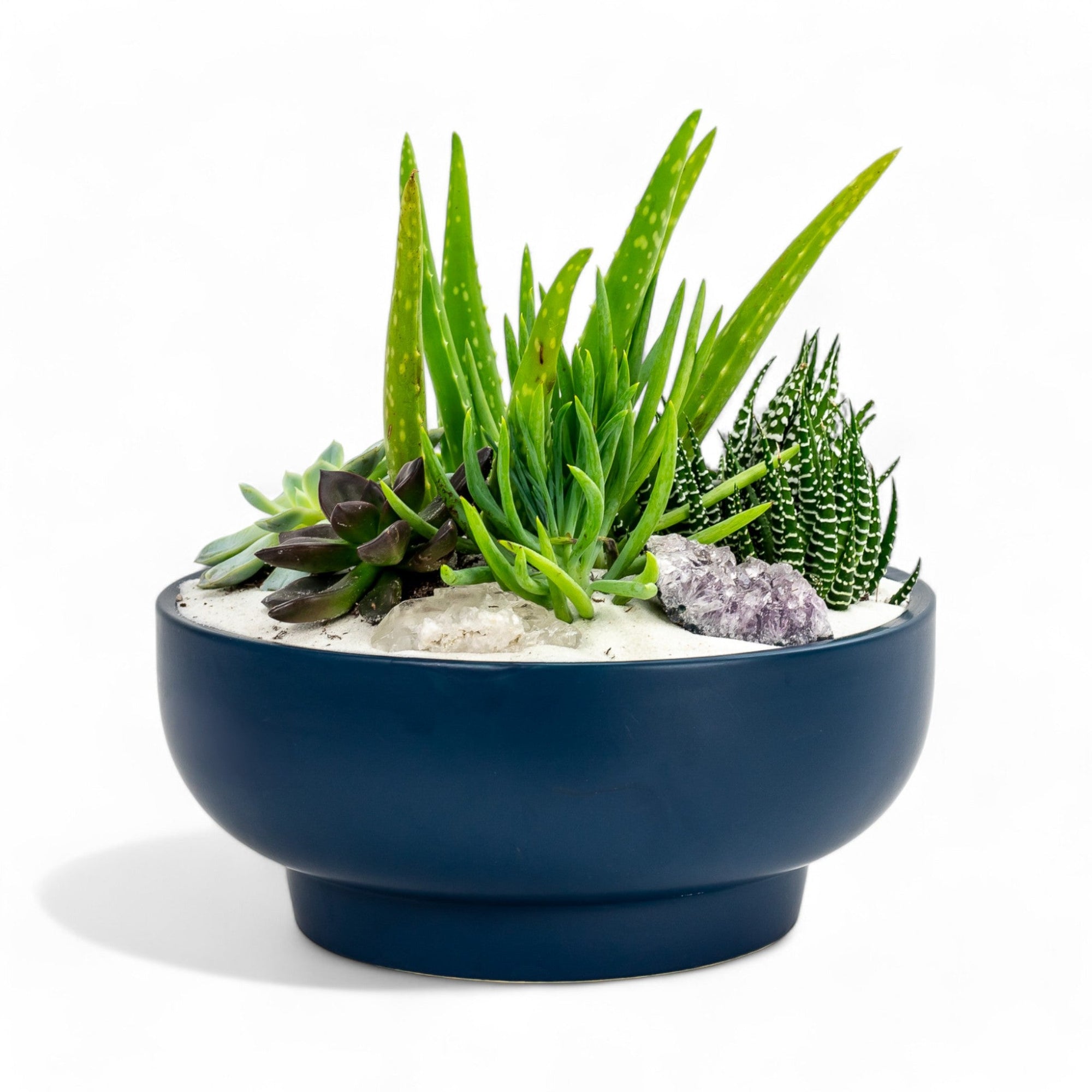 Midnight Blue Crystal Succulent Garden - Green Fresh Florals + Plants