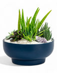 Midnight Blue Crystal Succulent Garden - Green Fresh Florals + Plants