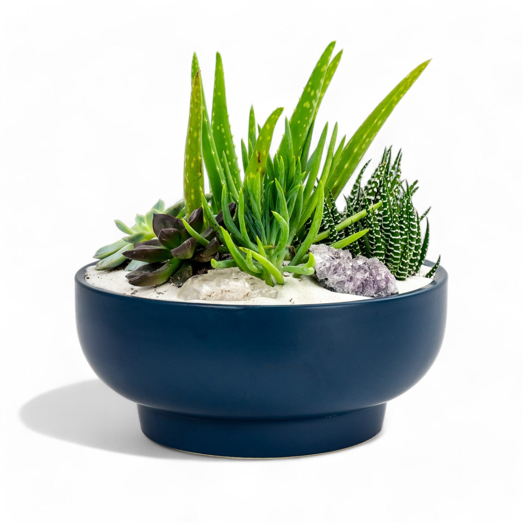 Midnight Blue Crystal Succulent Garden - Green Fresh Florals + Plants