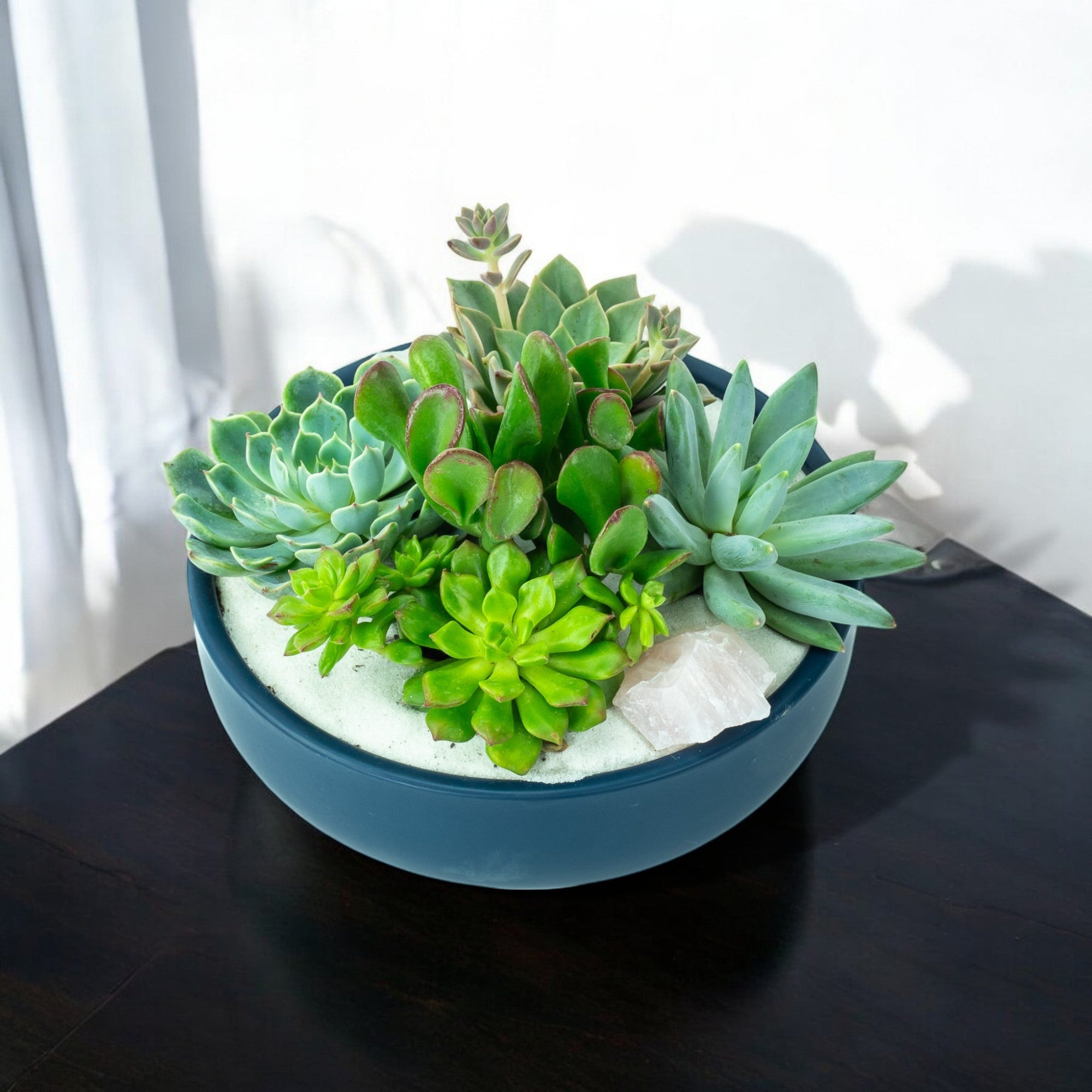 Midnight Blue Crystal Succulent Garden - Green Fresh Florals + Plants