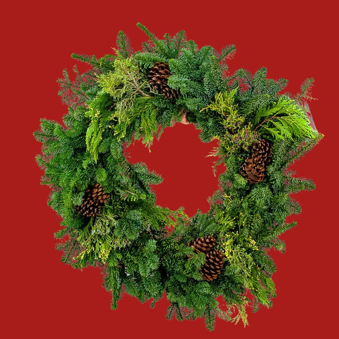 Mixed Evergreen Wreath - Green Fresh Florals + Plants