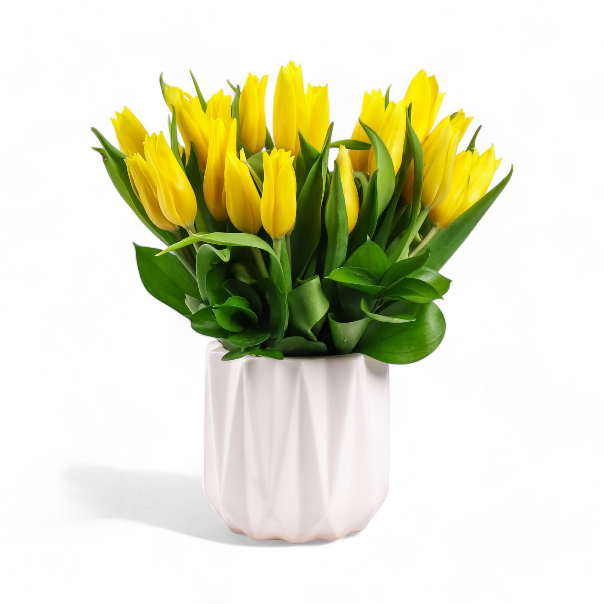 Modern Tulips - Green Fresh Florals + Plants