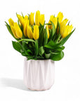 Modern Tulips - Green Fresh Florals + Plants