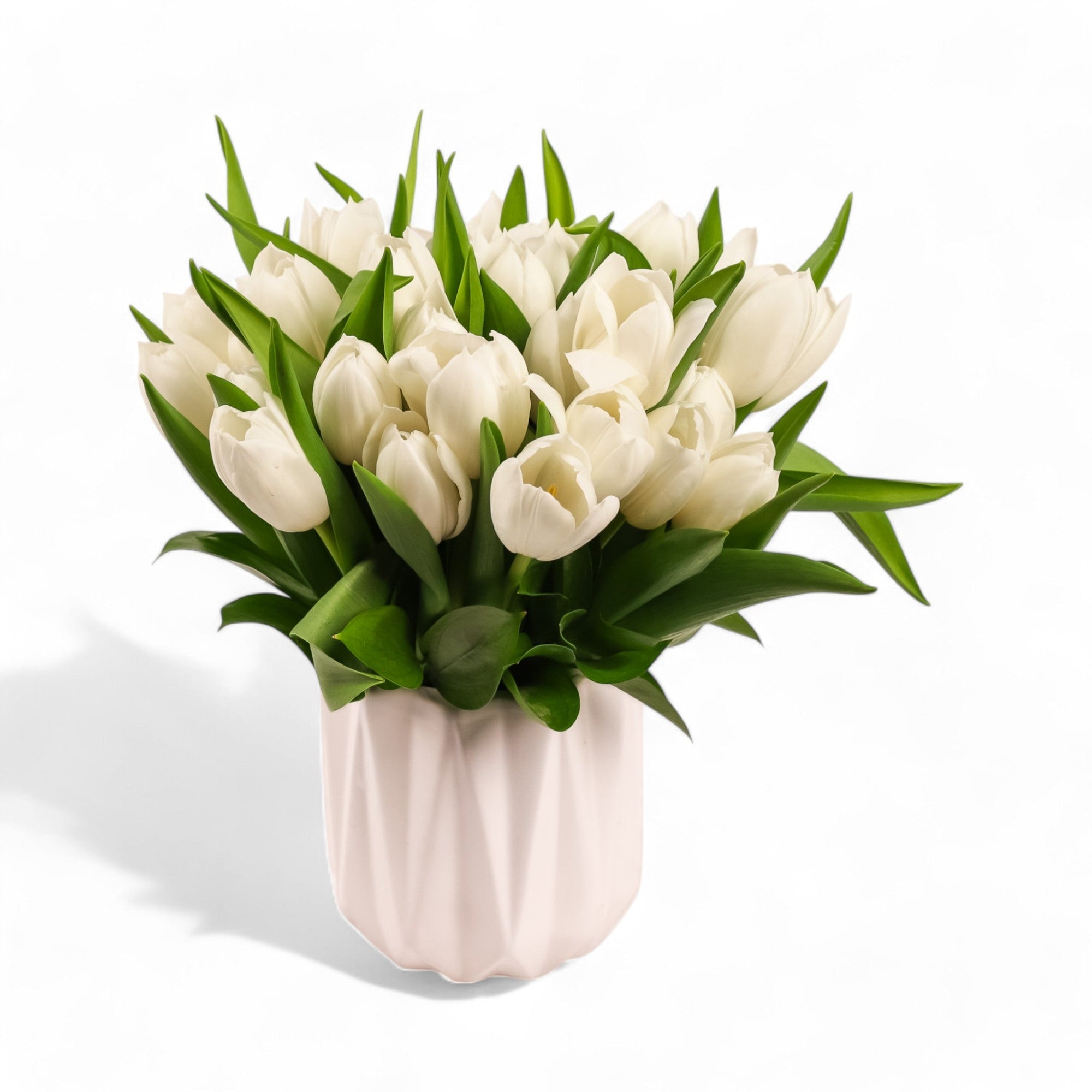 Modern Tulips - Green Fresh Florals + Plants