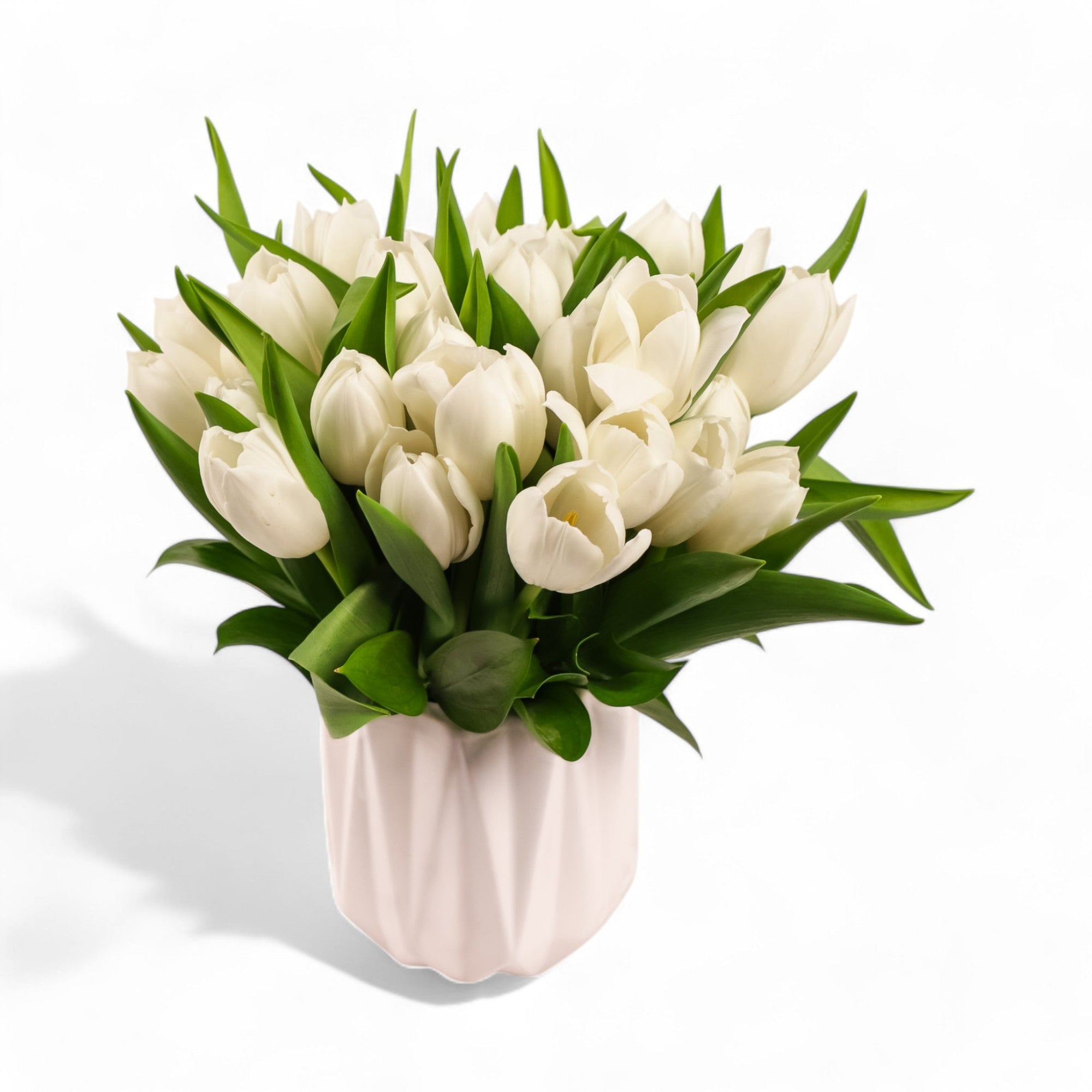 Modern Tulips - Green Fresh Florals + Plants