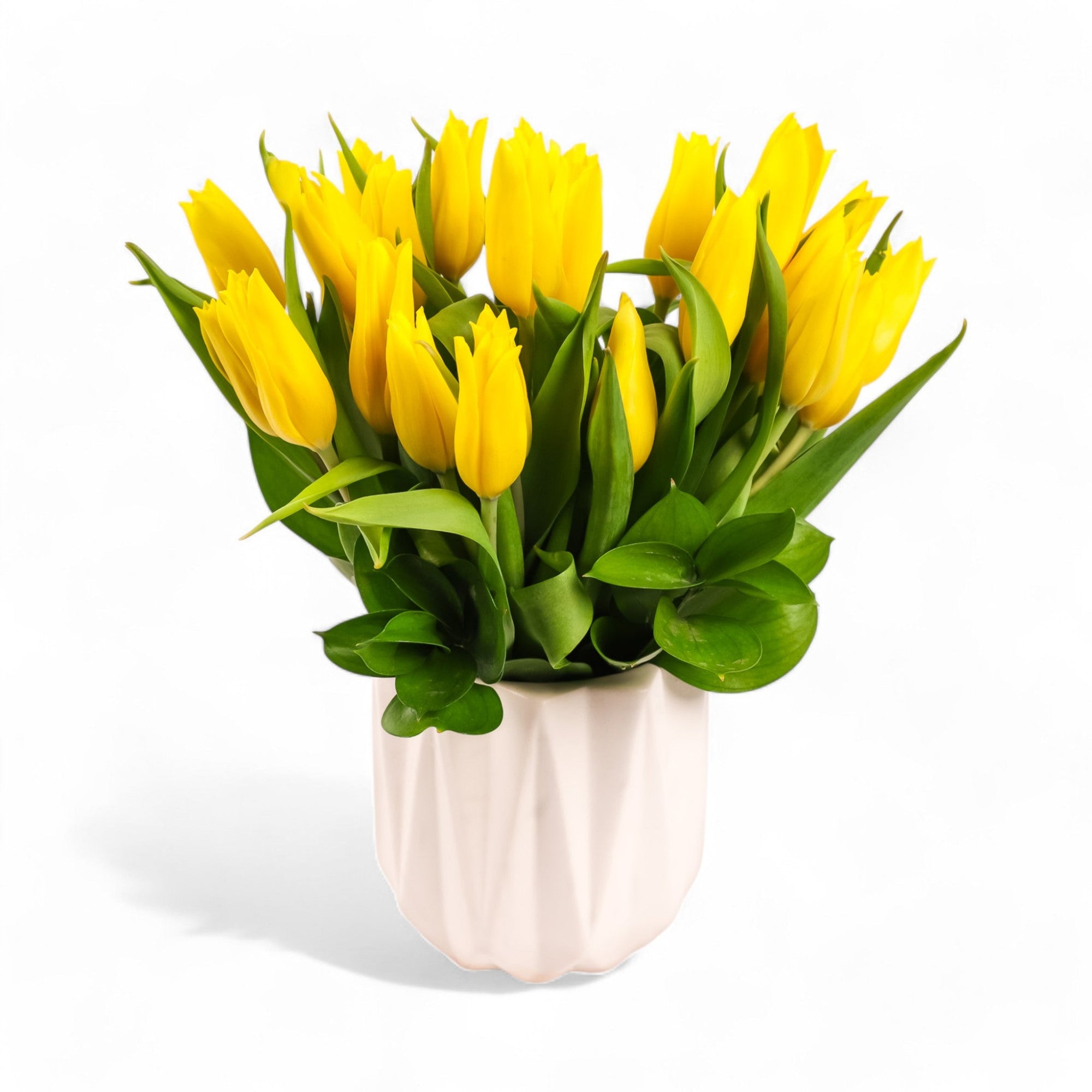 Modern Tulips - Green Fresh Florals + Plants