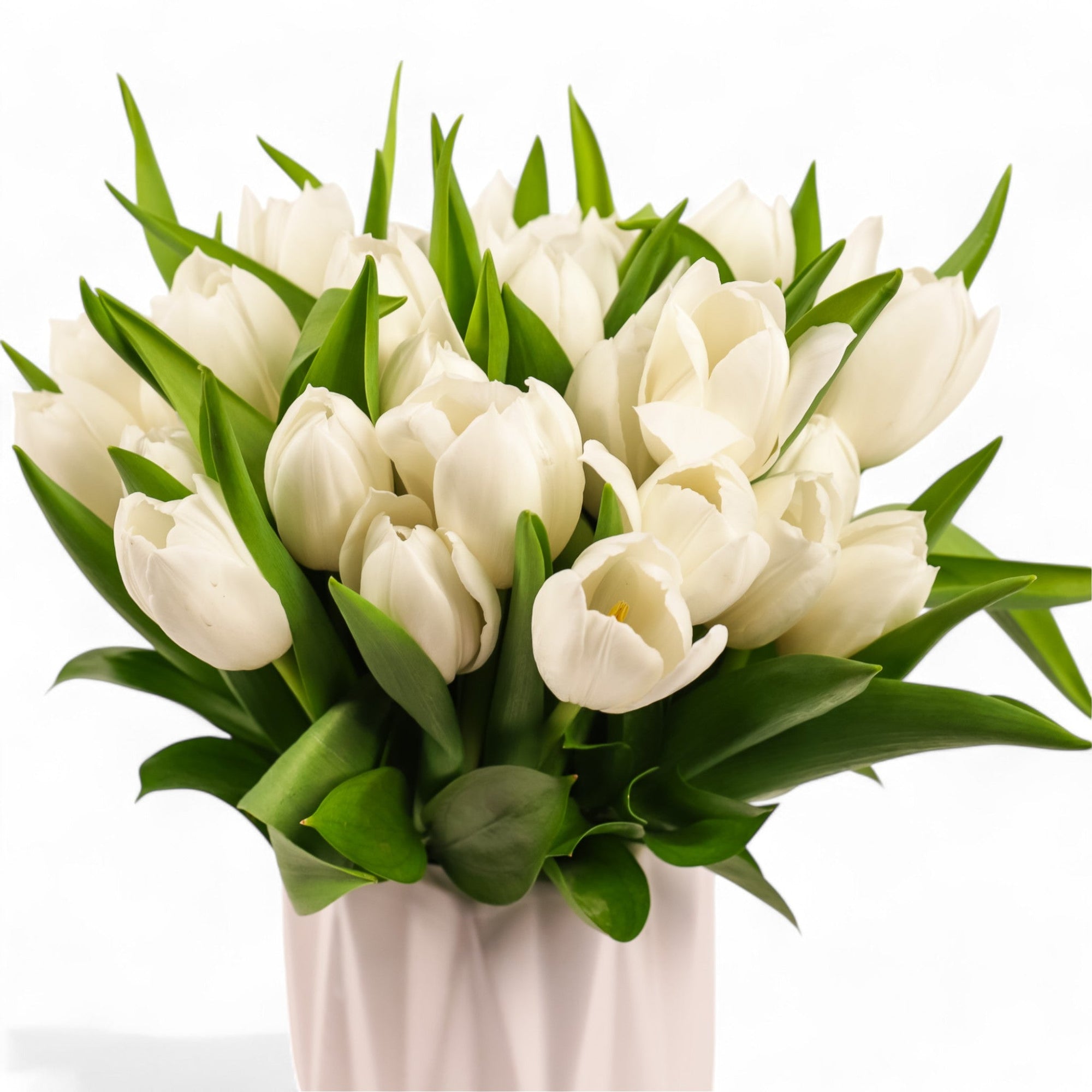 Modern Tulips - Green Fresh Florals + Plants