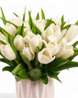 Modern Tulips - Green Fresh Florals + Plants