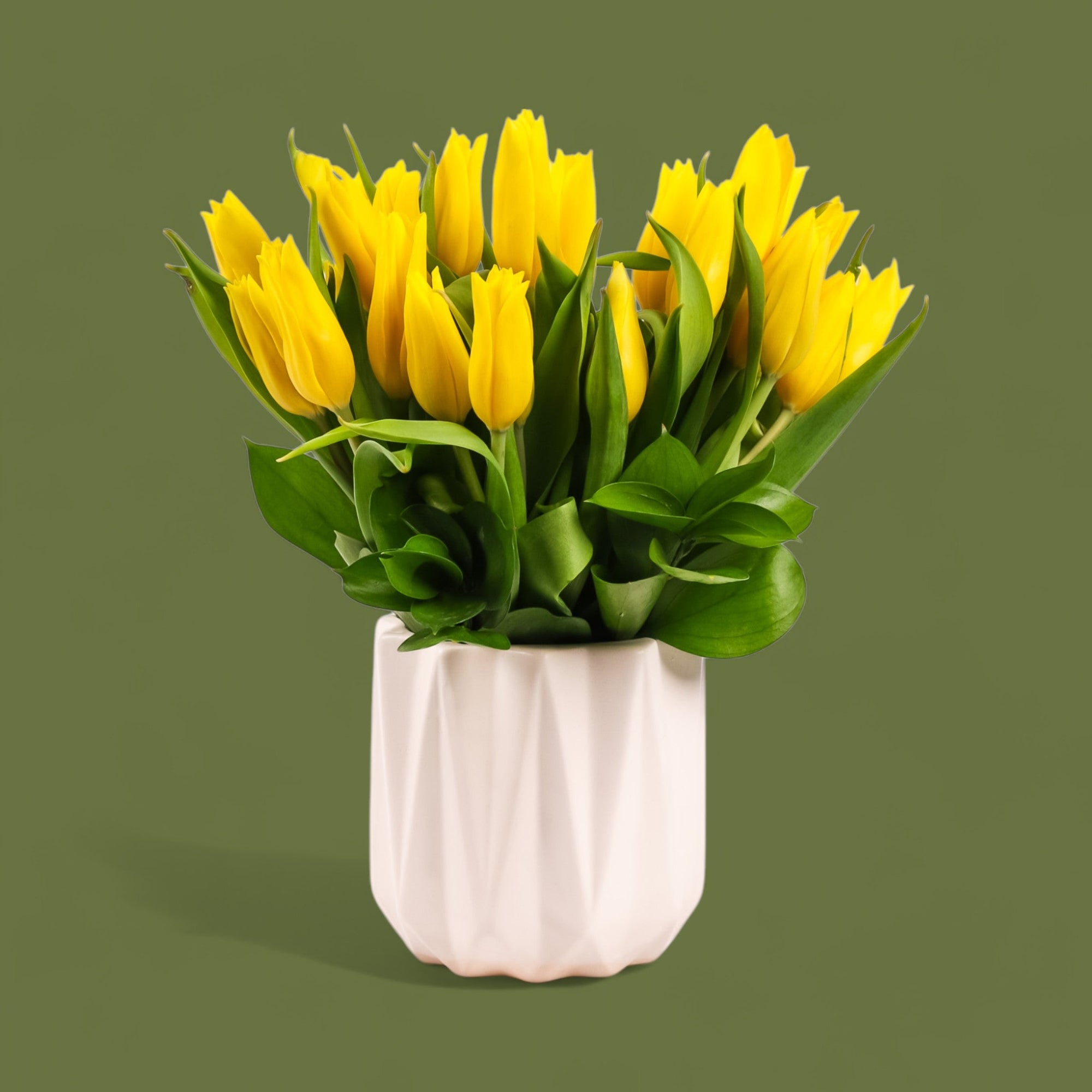 Modern Tulips - Green Fresh Florals + Plants