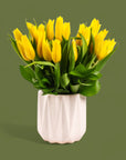 Modern Tulips - Green Fresh Florals + Plants