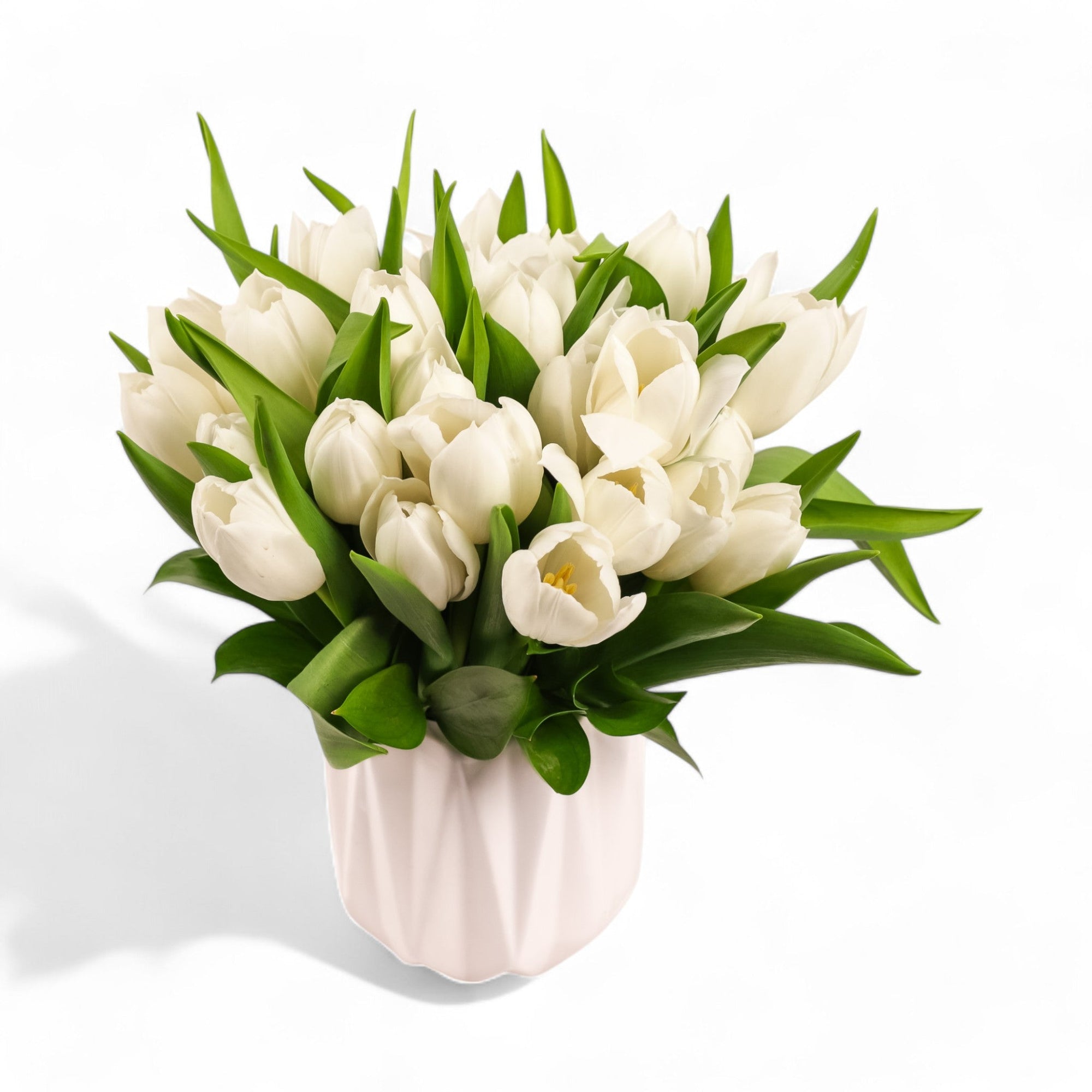 Modern Tulips - Green Fresh Florals + Plants