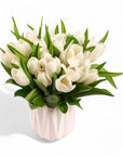 Modern Tulips - Green Fresh Florals + Plants