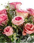 Pink Long - Stem Roses - Green Fresh Florals + Plants