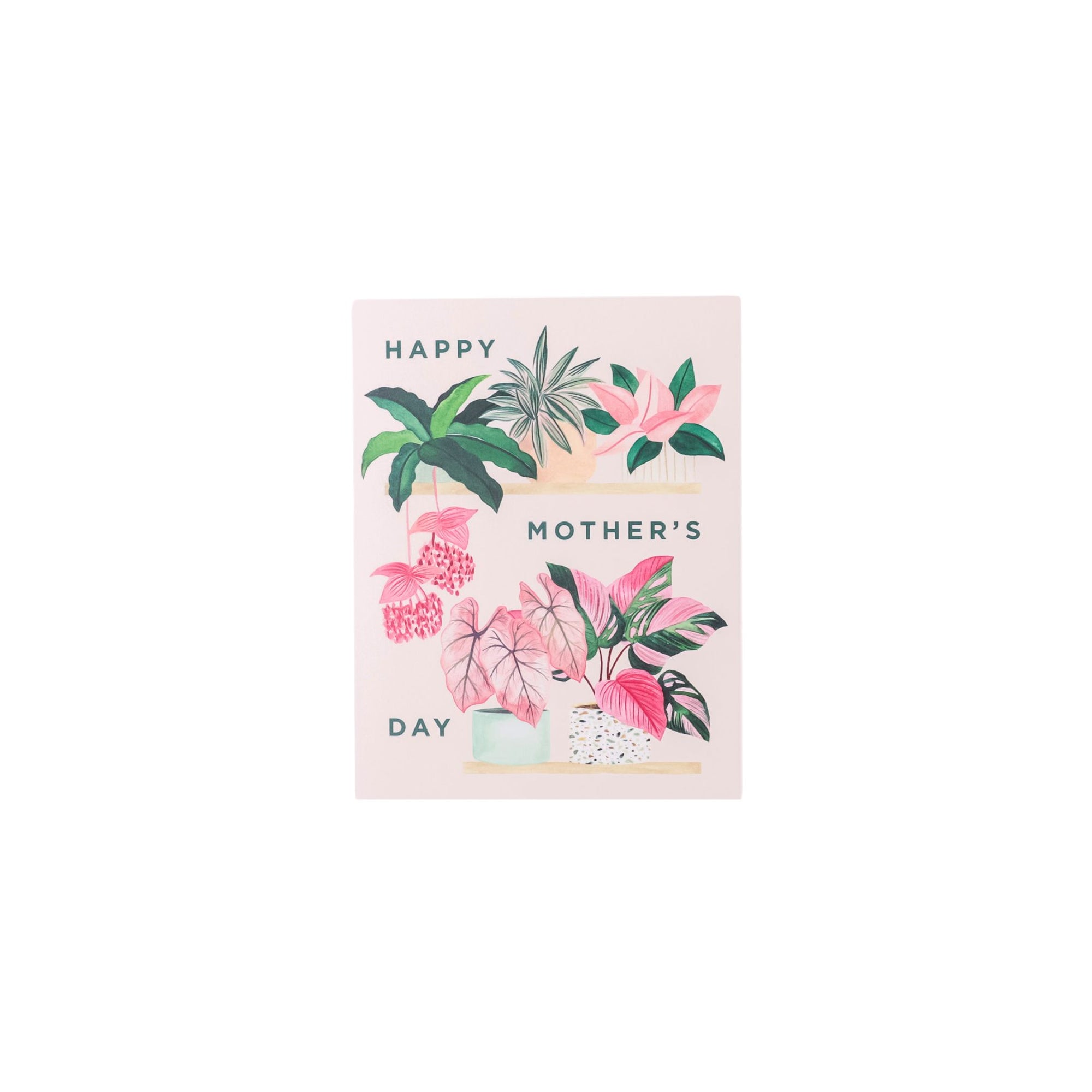 Plant Shelf Mother&#39;s Day Card - Green Fresh Florals + Plants