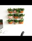 Wally Eco Living Wall Planter