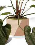 Rift Pot - Green Fresh Florals + Plants