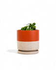 Rust Double - Dipped Gemstone Cylinder - Green Fresh Florals + Plants