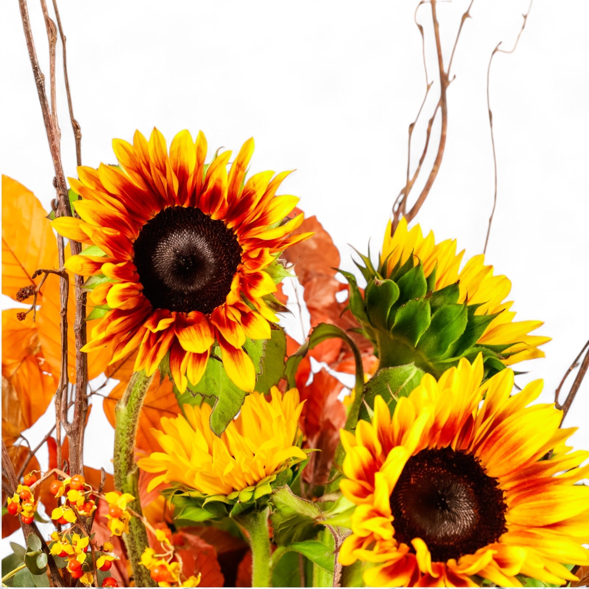 Sunflower Harvest Designer Floral - Green Fresh Florals + Plants