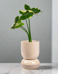 Tartu Pot + Saucer - Green Fresh Florals + Plants