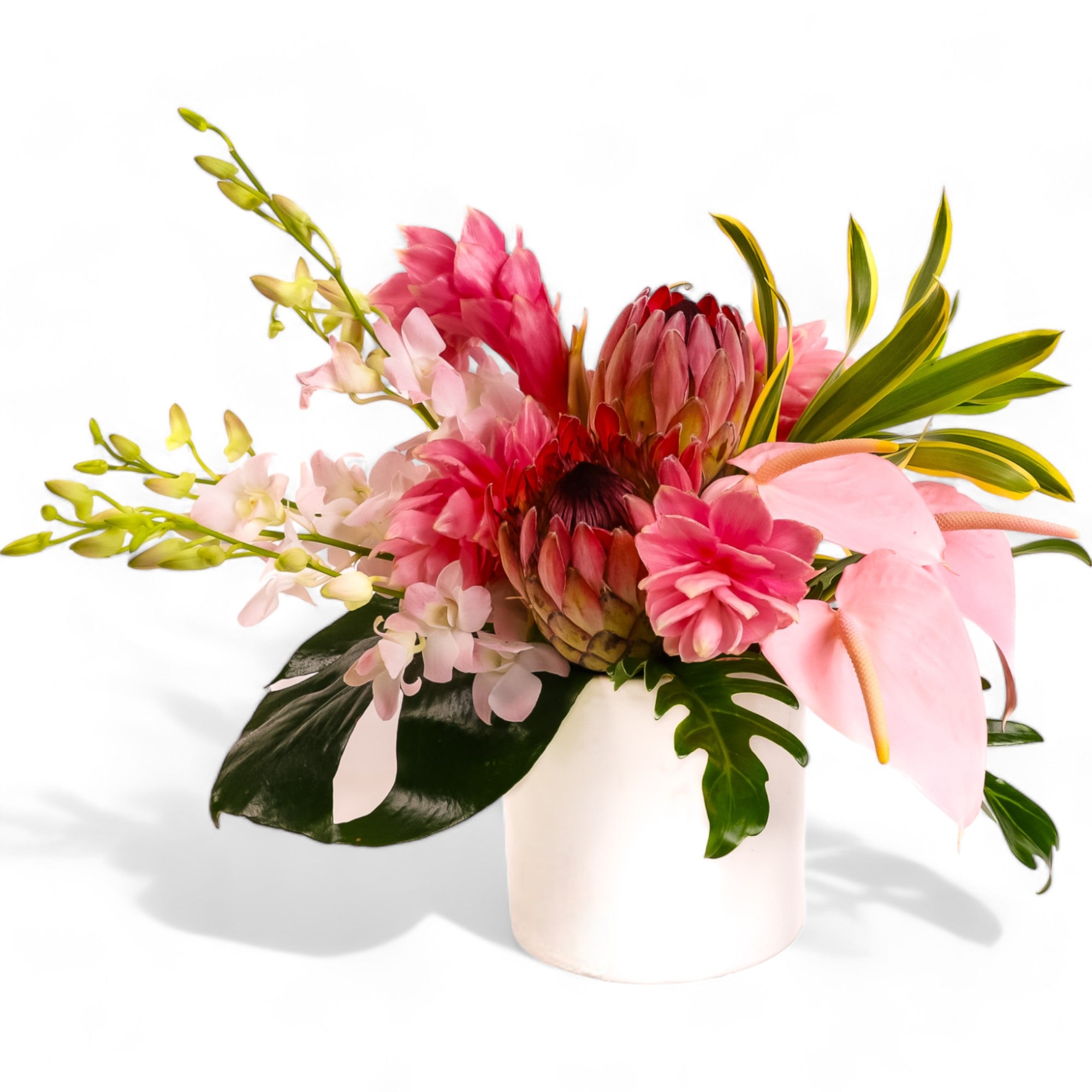 Tropical Blush Designer Floral - Green Fresh Florals + Plants